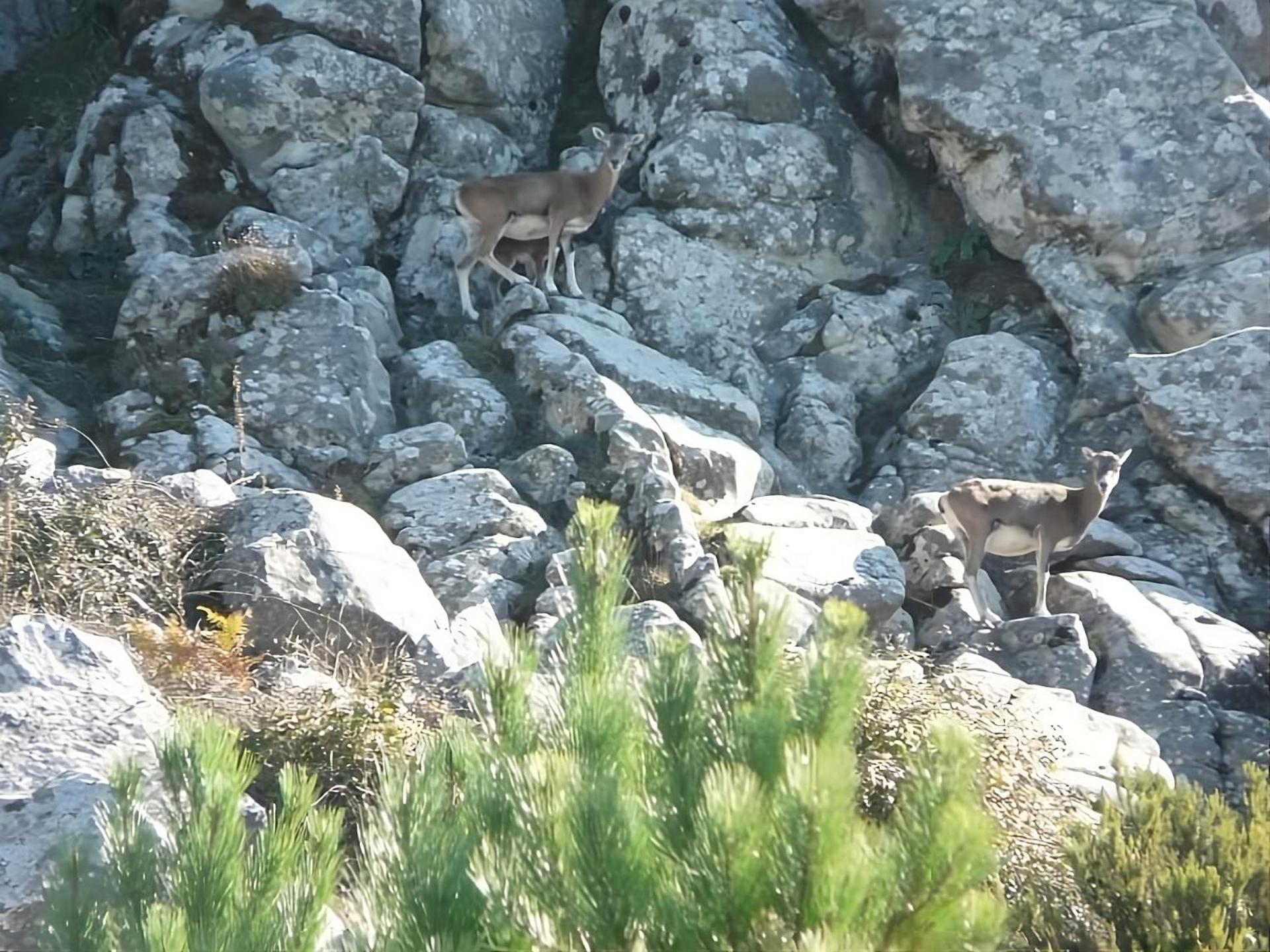 Manderley-Case Sul Mare Santa Caterina Di Pittinuri  Eksteriør billede